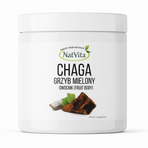 Chaga grzyb mielony.100 g