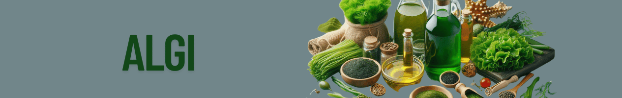 Algi – Spirulina, Chlorella, Nori | Sklep ze zdrową żywnością